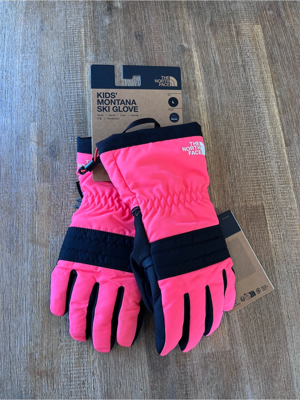 Montana Ski Glove North Face